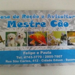 MESTRE CÃO