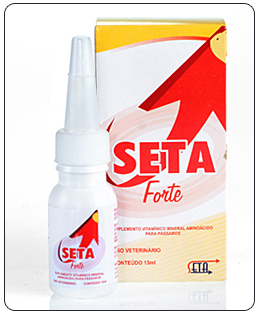 SETA FORTE