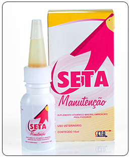 SETA MANUTENÇÃO